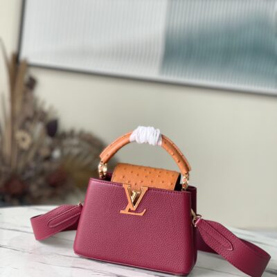 Louis Vuitton Capucines Mini Handbag in Ruby Red