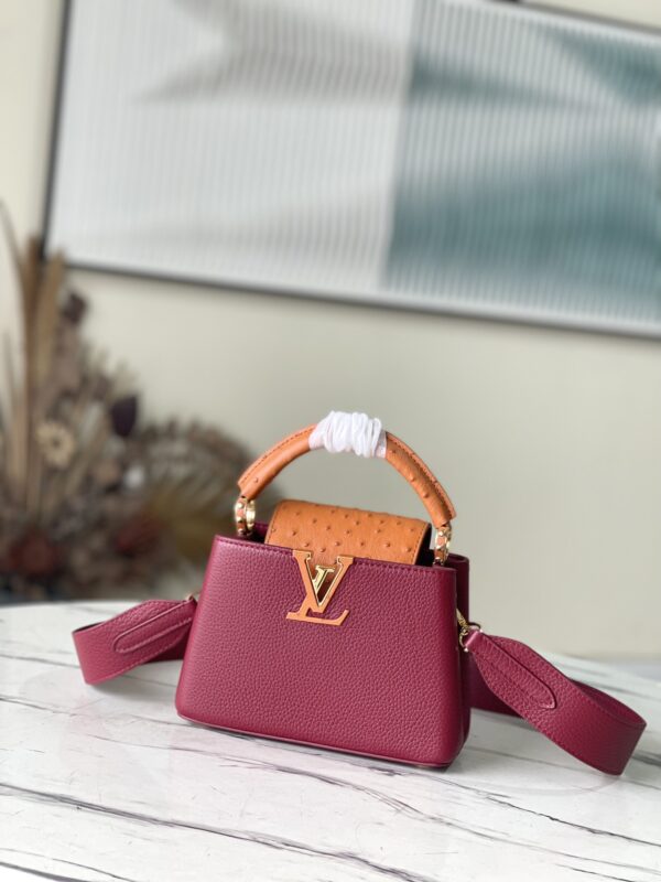 Louis Vuitton Capucines Mini Handbag in Ruby Red