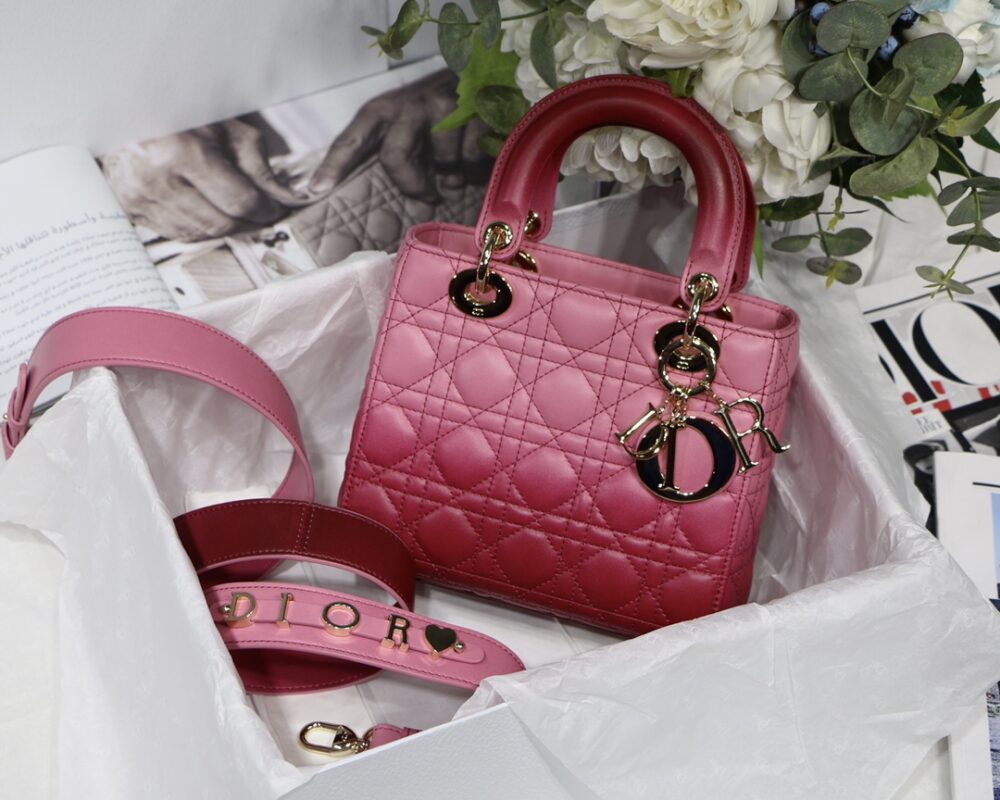 My ABCDior Bag in Gradient Rose Red