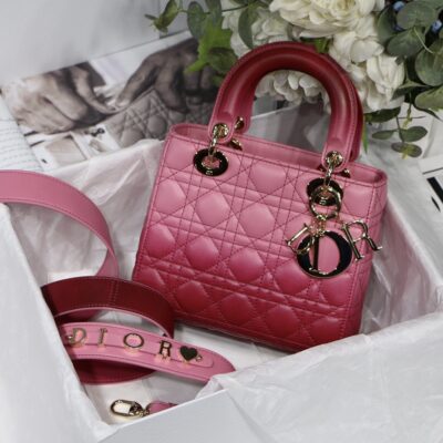 My ABCDior Bag in Gradient Rose Red