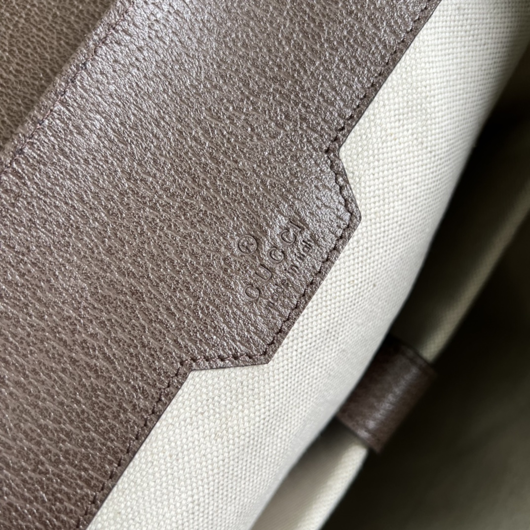 Gucci Backpack - Image 8