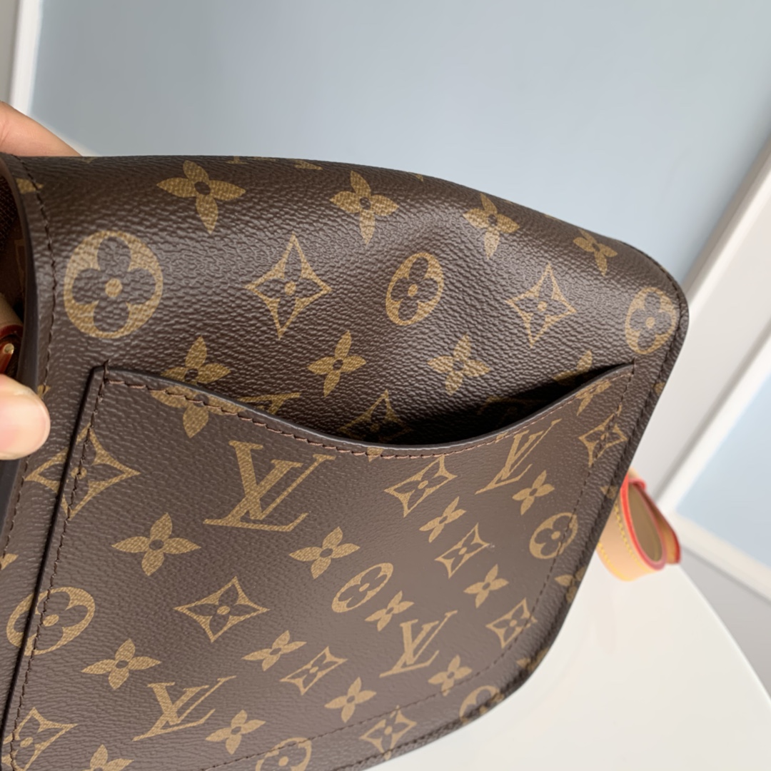 Louis Vuitton Monogram Small Saint Cloud Bag - Image 7