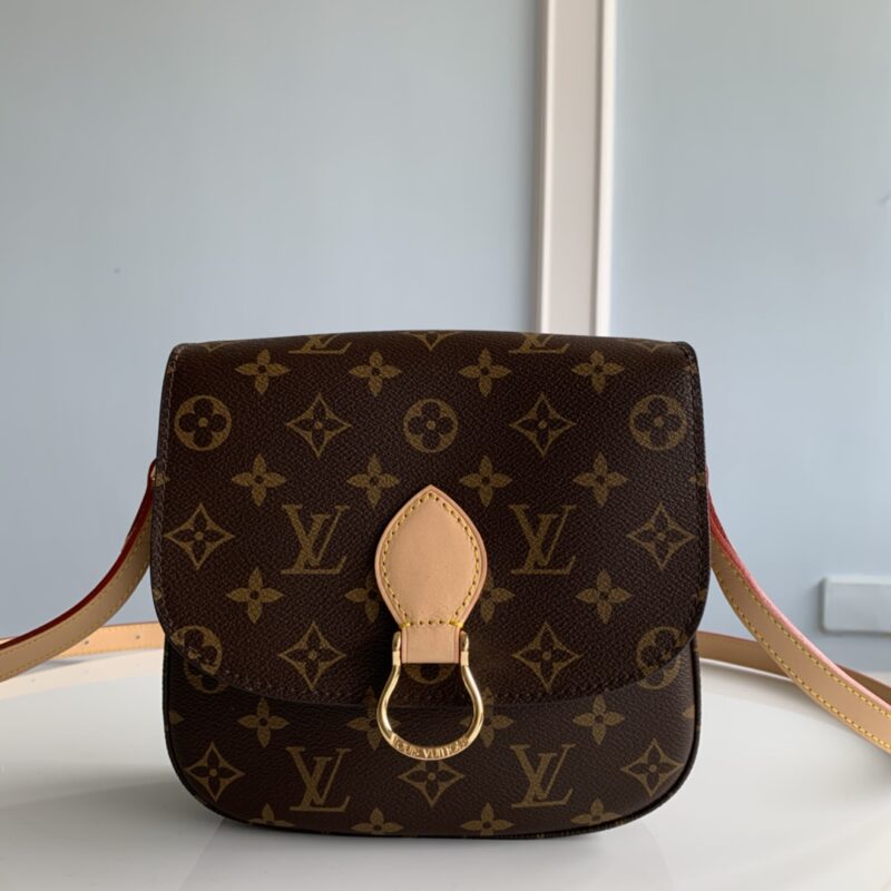Louis Vuitton Monogram Small Saint Cloud Bag