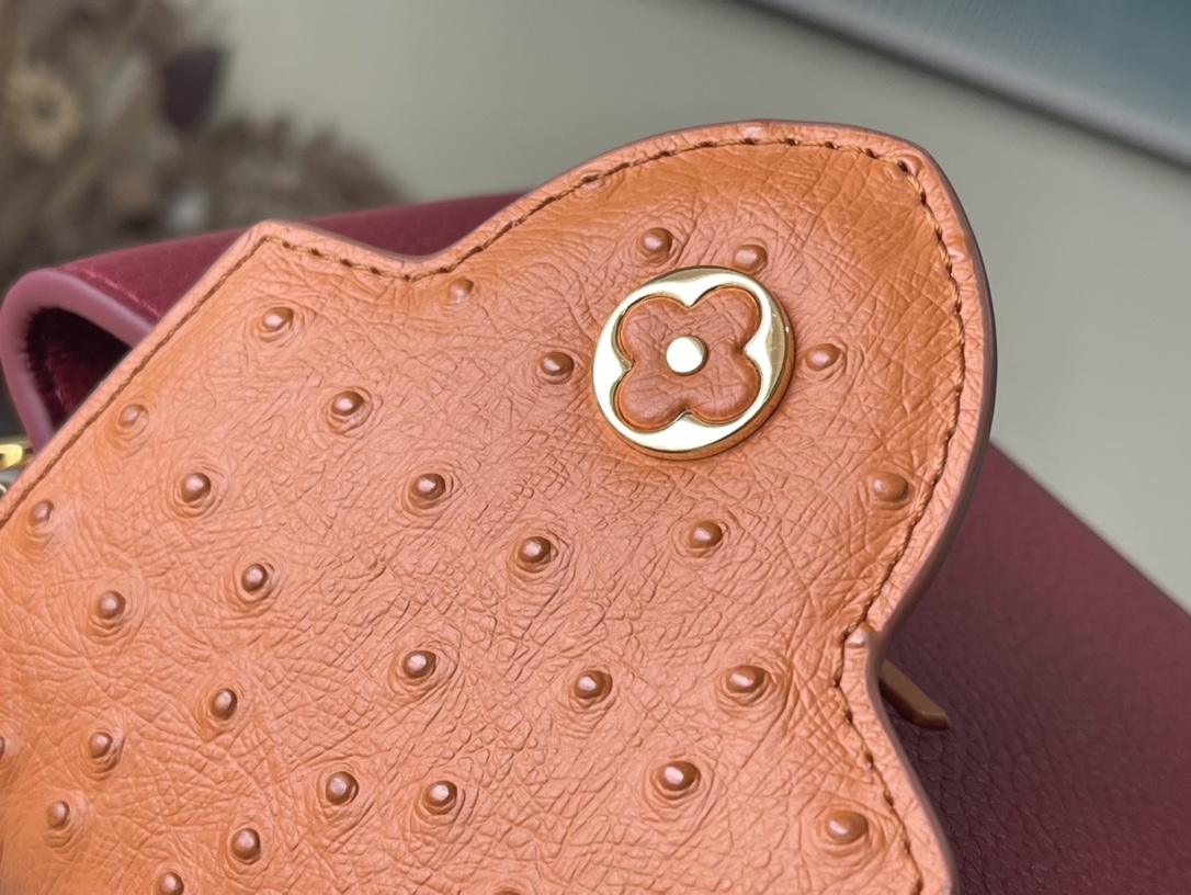 Louis Vuitton Capucines Mini Handbag in Ruby Red - Image 9