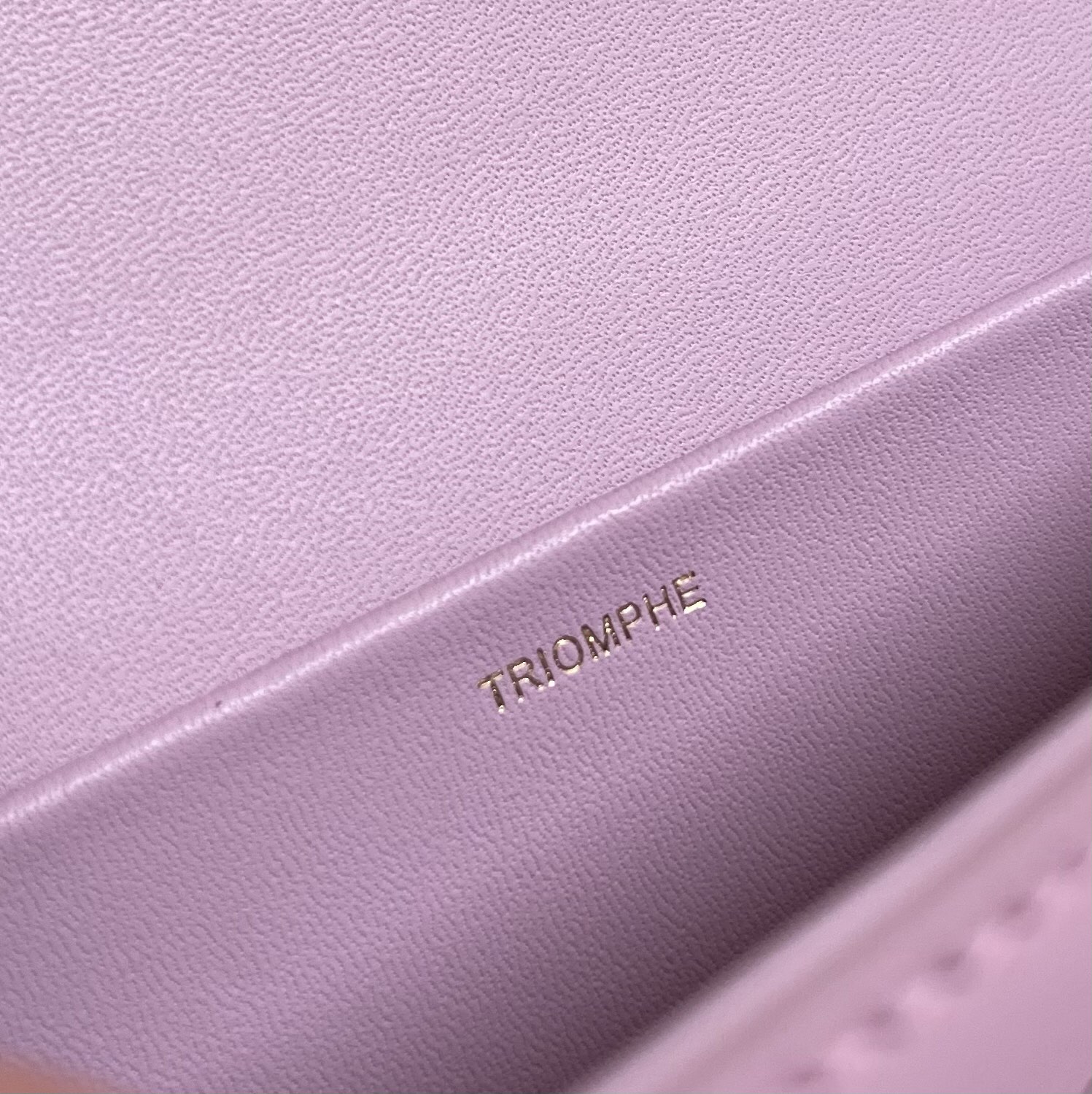 Celine Arc de Triomphe Underarm 20cm Bag in Pink - Image 8