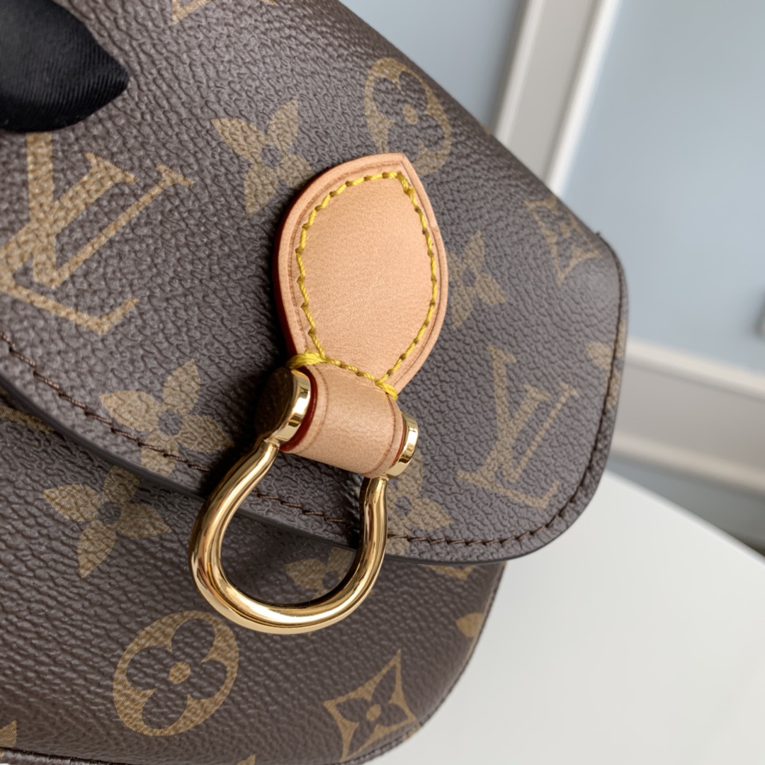 Louis Vuitton Monogram Mini Saint Cloud Bag - Image 6