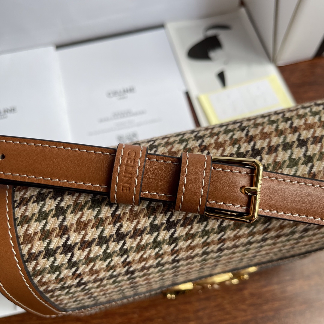 Celine Mini Triomphe Teen Box Bag - Image 9