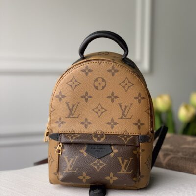 Louis Vuitton Palm Springs Mini Backpack