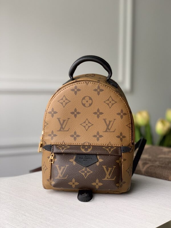 Louis Vuitton Palm Springs Mini Backpack