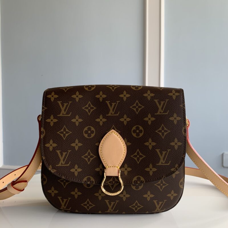 Louis Vuitton Monogram Medium Saint Cloud Bag