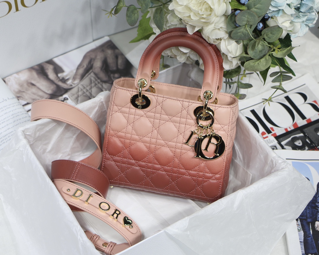 My ABCDior Bag in Gradient Pink