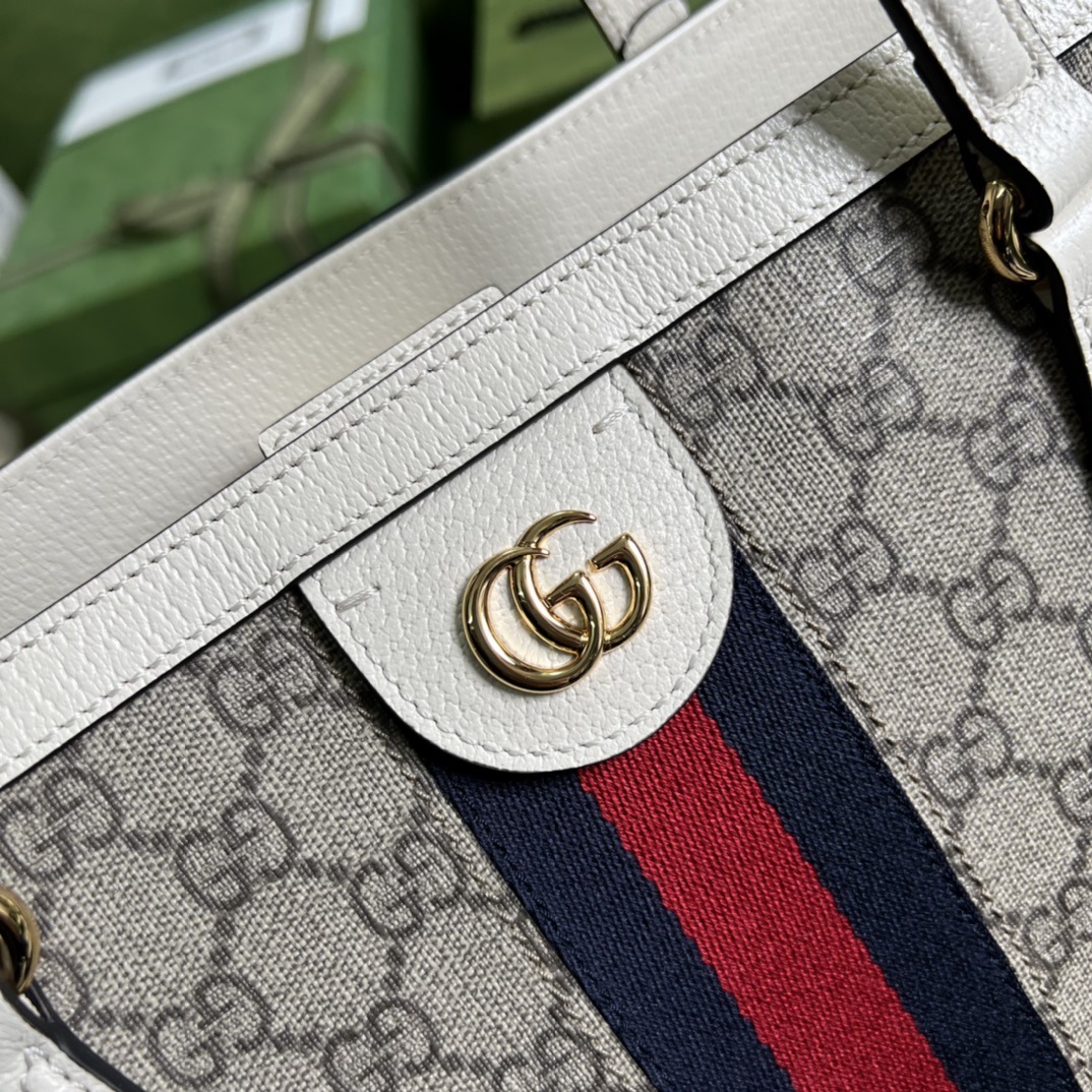 Gucci Bag - Image 7