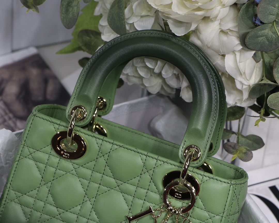 My ABCDior Bag in Gradient Green - Image 8