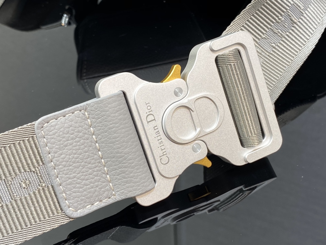 Dior Classic Saddle Bag in Gray - Image 10