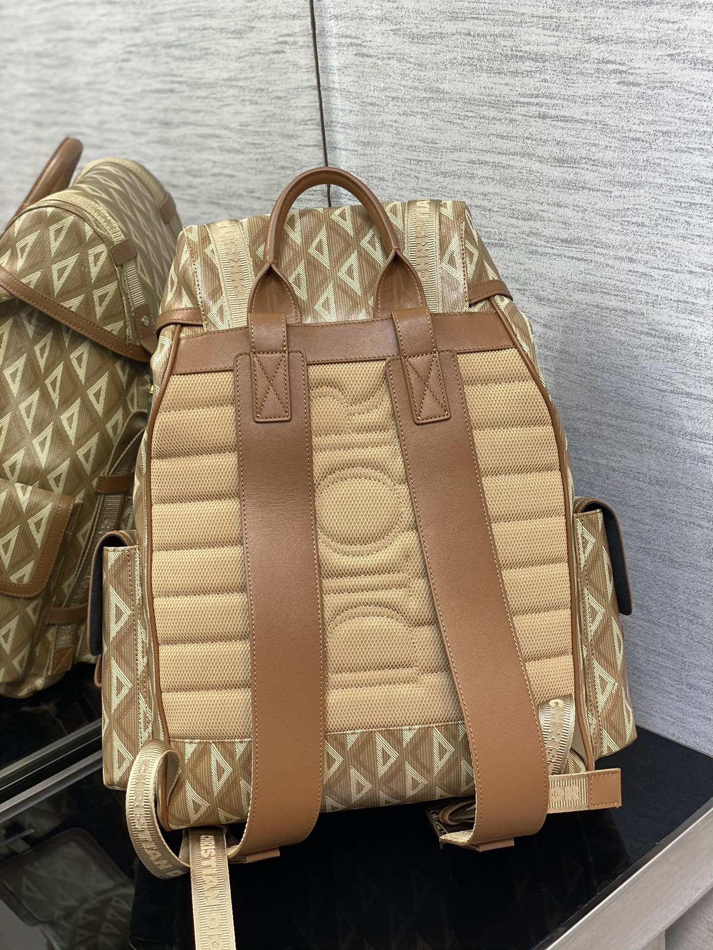 Dior Road Backpack in Brown&Beige - Image 3