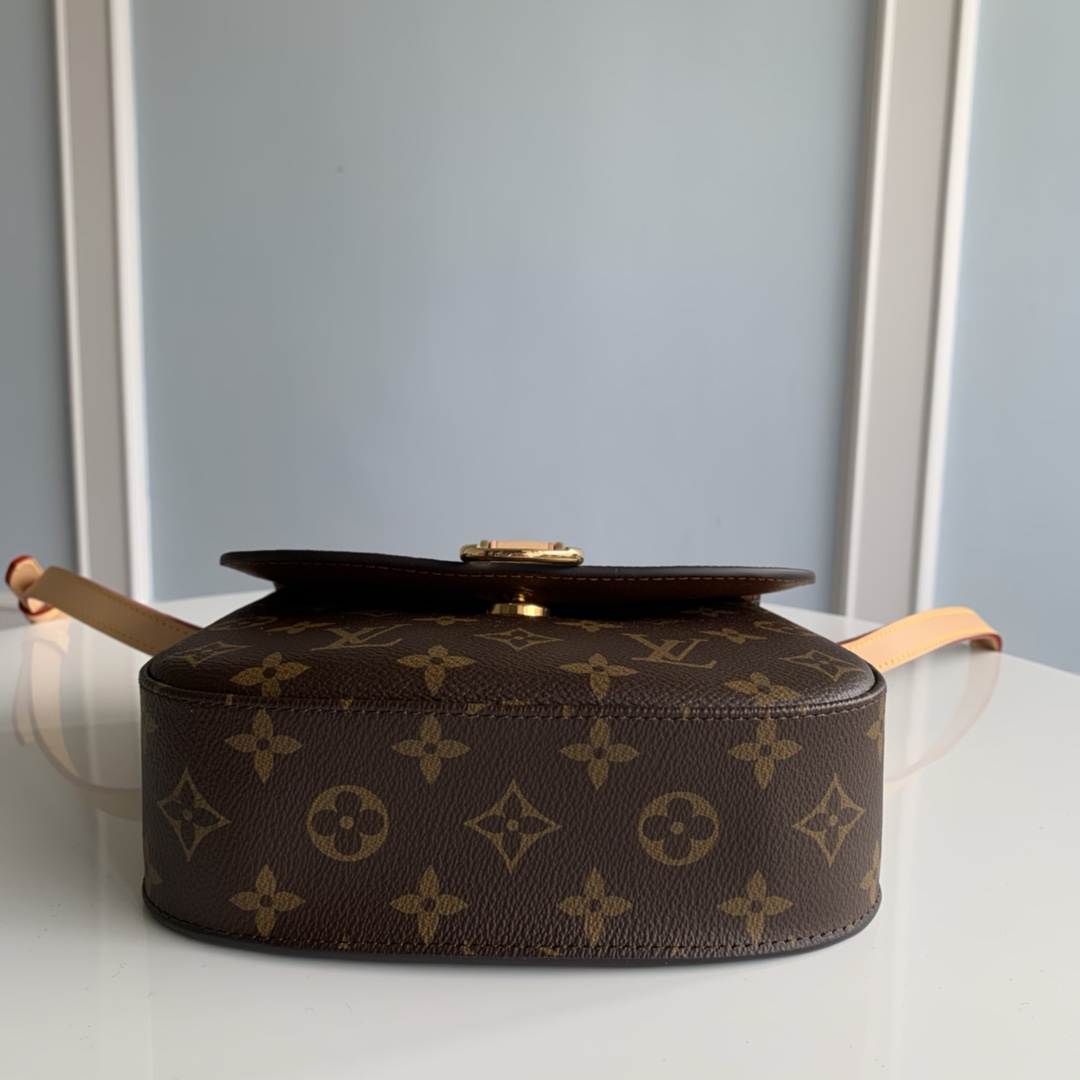 Louis Vuitton Monogram Small Saint Cloud Bag - Image 5