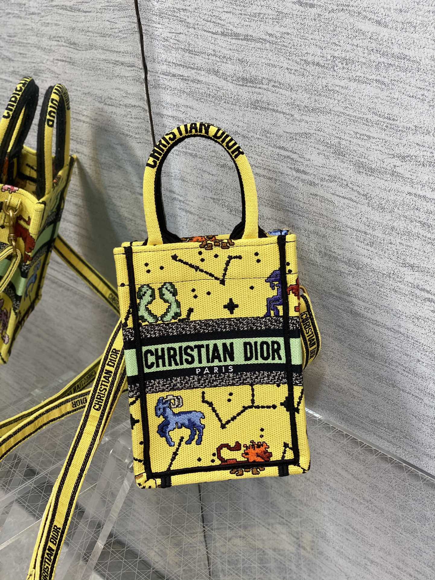 Dior Mini Vertical Constellations Tote Bag