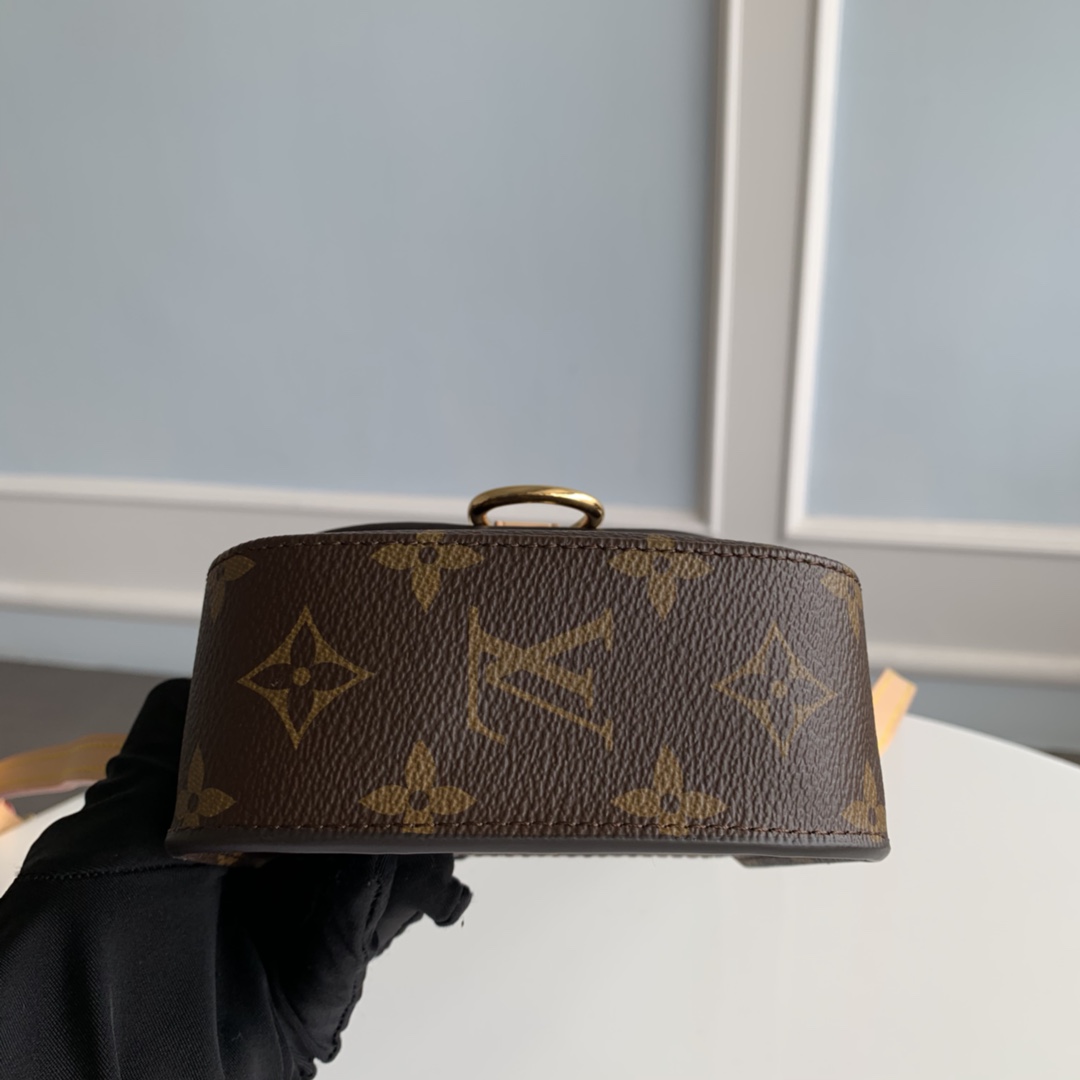 Louis Vuitton Monogram Mini Saint Cloud Bag - Image 5