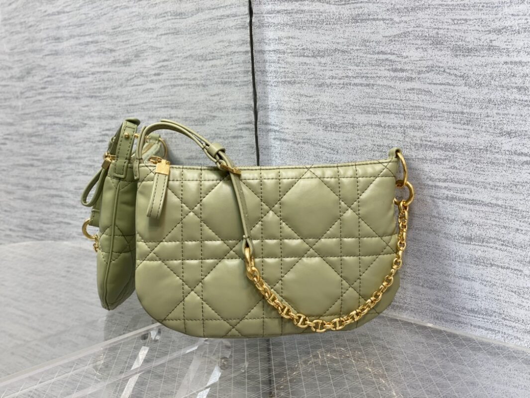 Dior Caro Tulip Bag 25 in Gray Green Calfskin