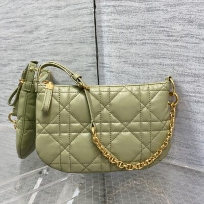 Dior Caro Tulip Bag 25 in Gray Green Calfskin