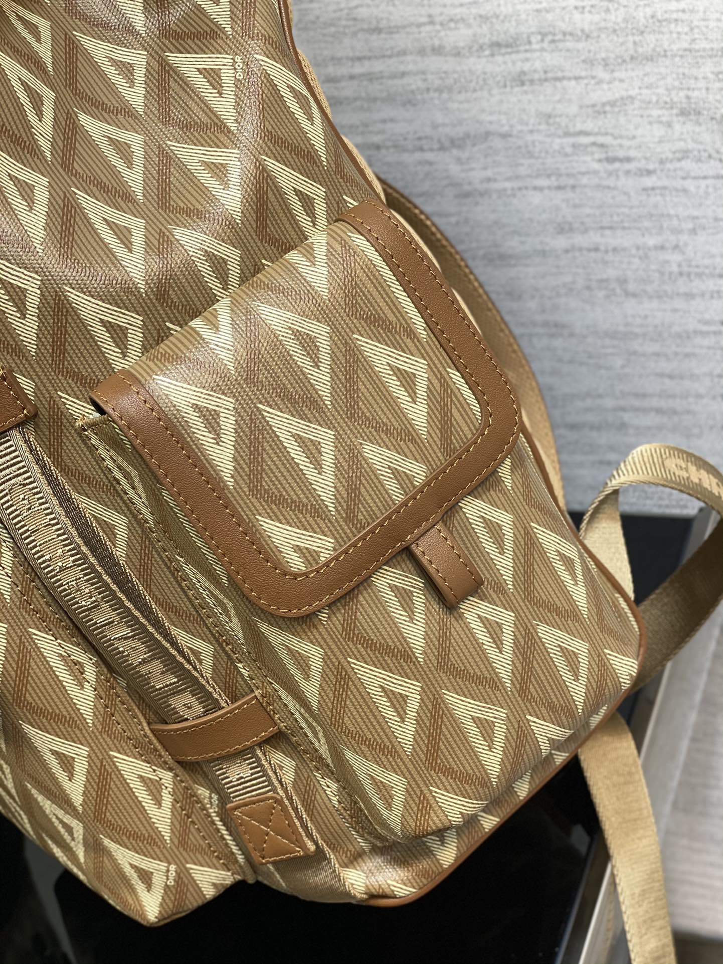Dior Road Backpack in Brown&Beige - Image 7