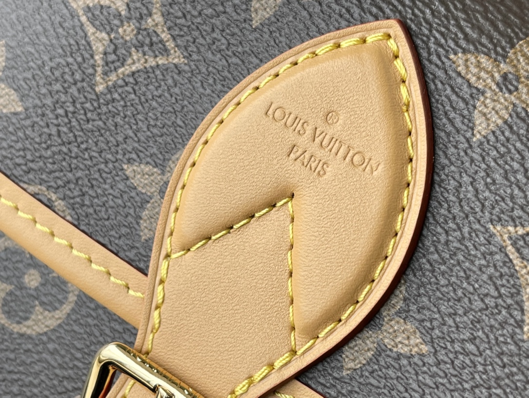 Louis Vuitton Diane Shoulder Bag - Image 5