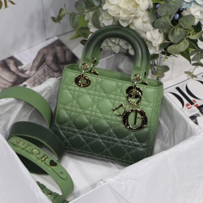 My ABCDior Bag in Gradient Green