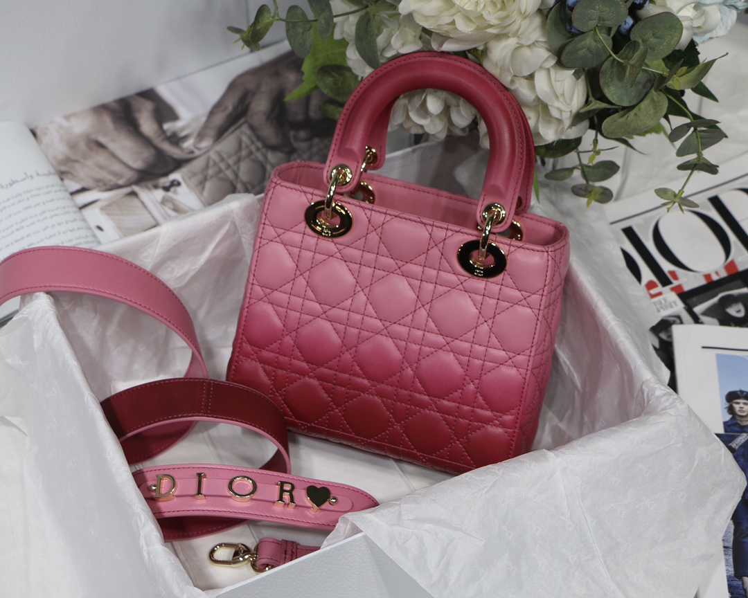 My ABCDior Bag in Gradient Rose Red - Image 3