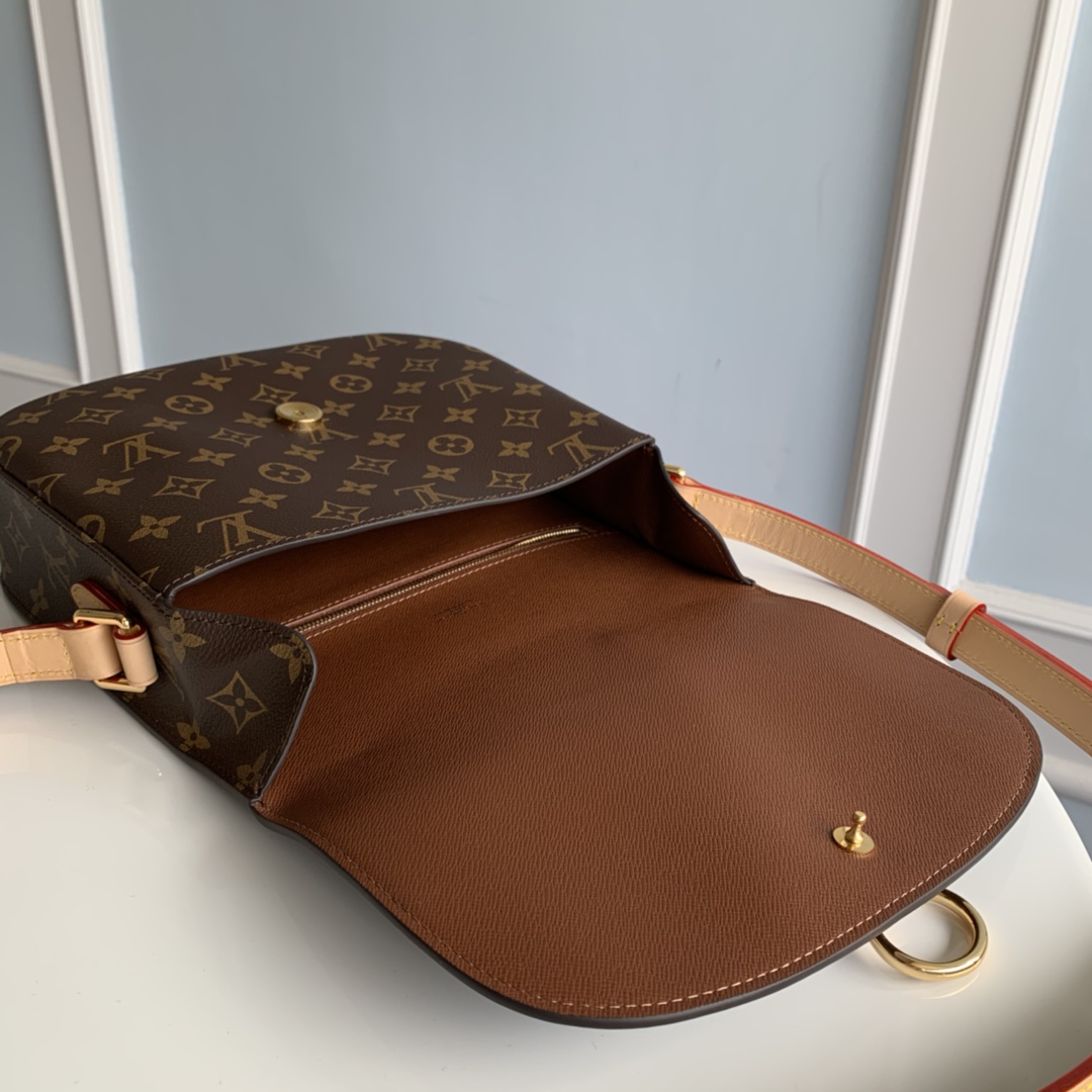 Louis Vuitton Monogram Medium Saint Cloud Bag - Image 8
