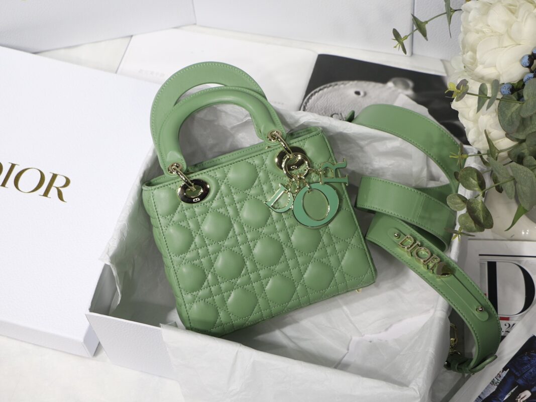 Lady Dior My ABC 20 Bag in Green