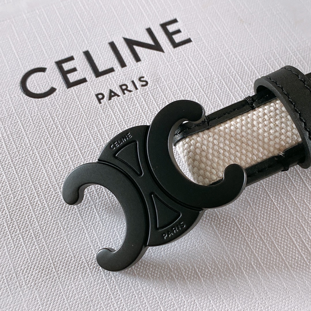 db9bf2_703ce7bdaa364a61ab2f614ee262fc32mv2.jpg Celine Triomphe Leather Belt - Image 1