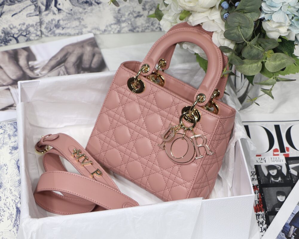 Lady Dior My ABC 20 Bag in Pink