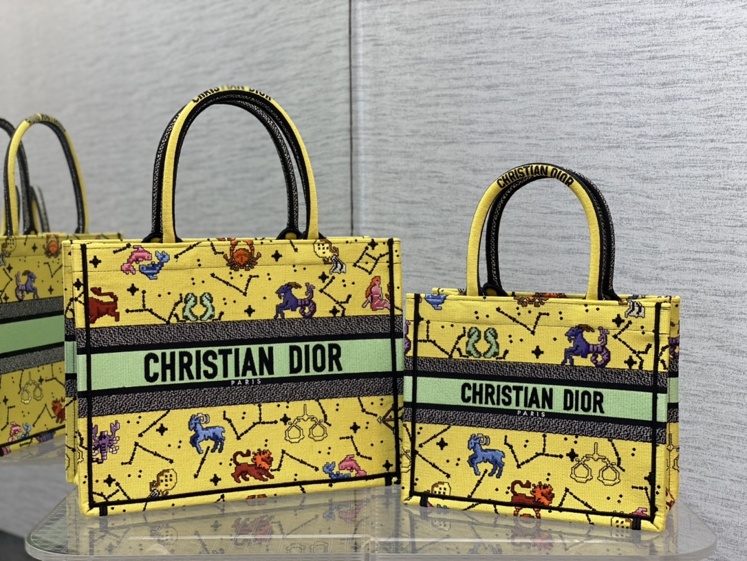 Dior Medium Constellations Tote Bag - Image 11