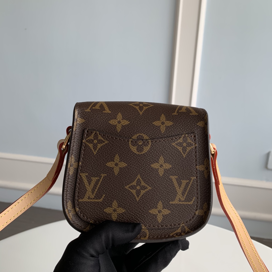Louis Vuitton Monogram Mini Saint Cloud Bag - Image 3