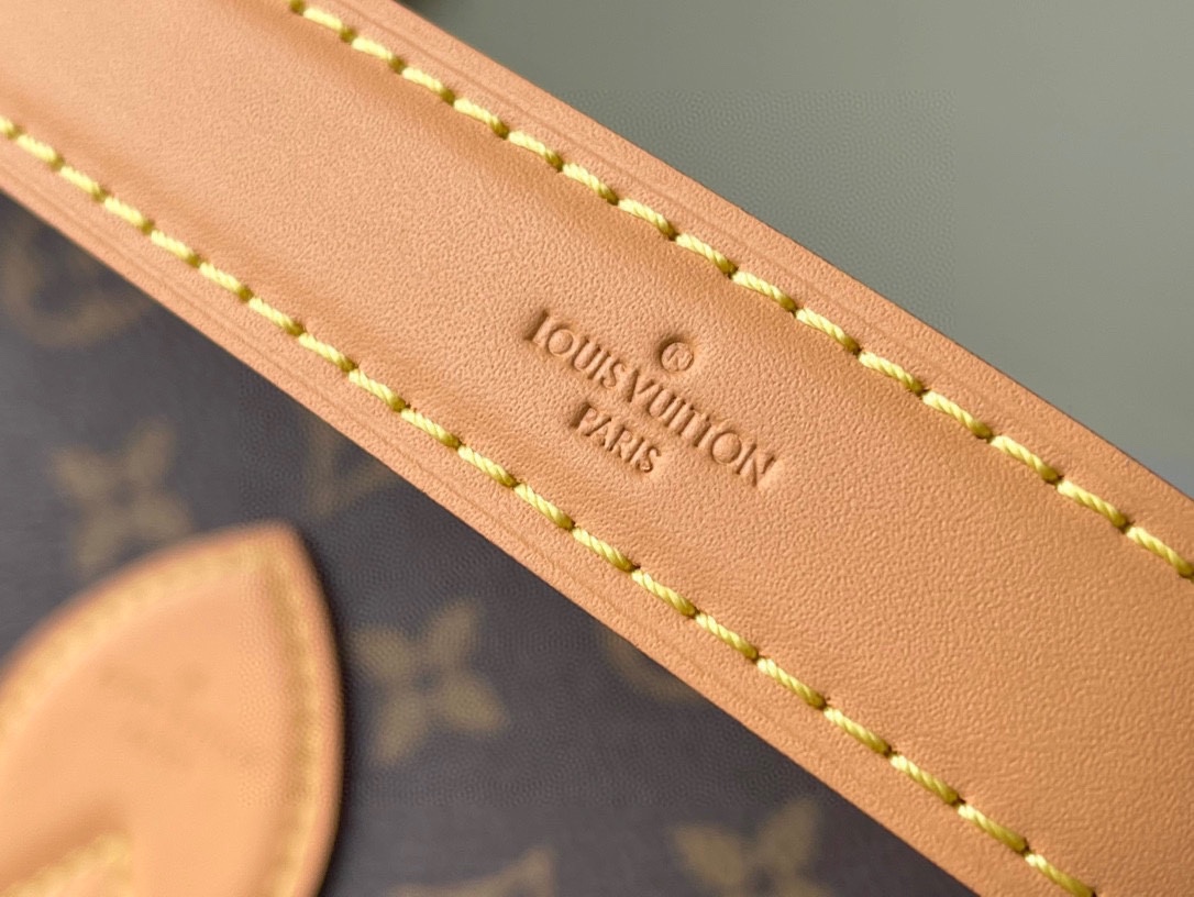 Louis Vuitton Diane Shoulder Bag - Image 9