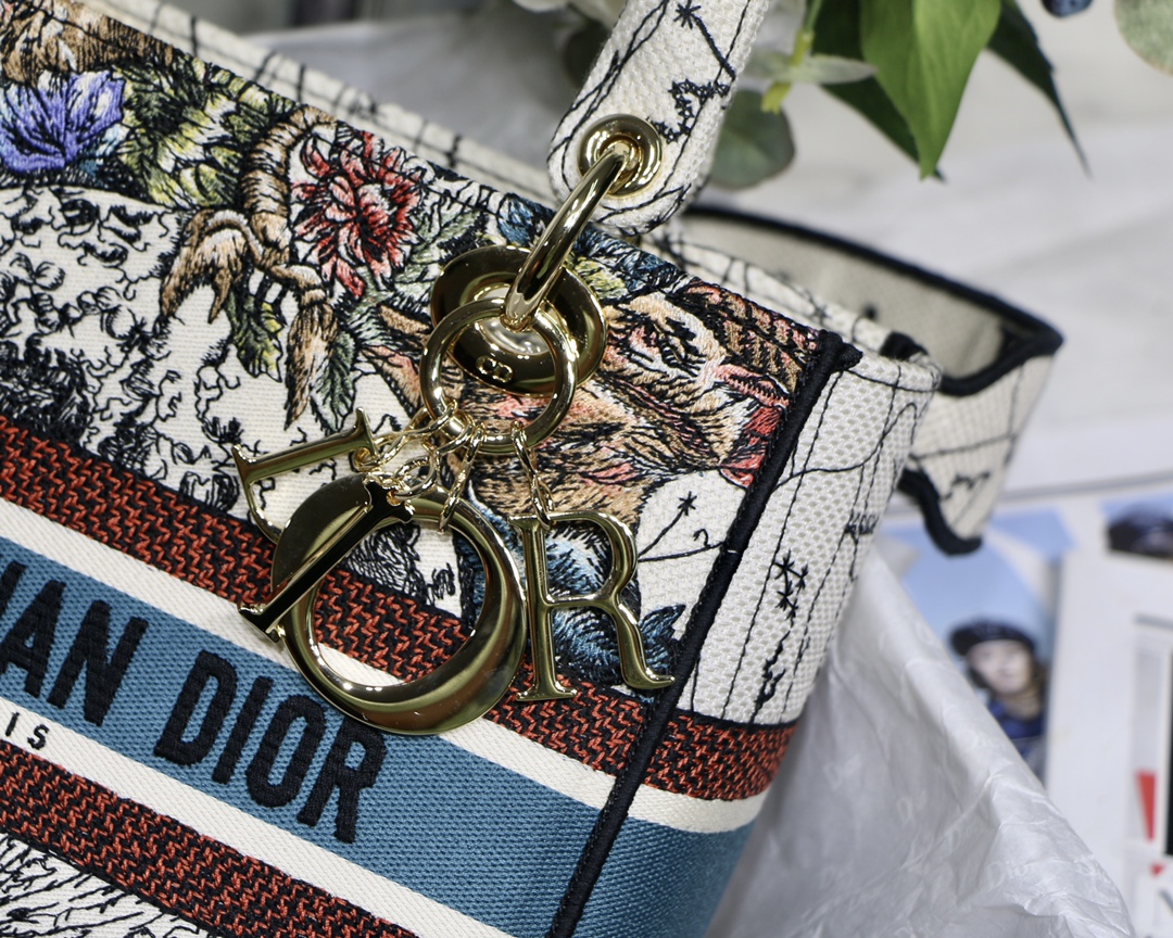Lady Dior Embroidery Bag in Milk White Constellation - Image 5