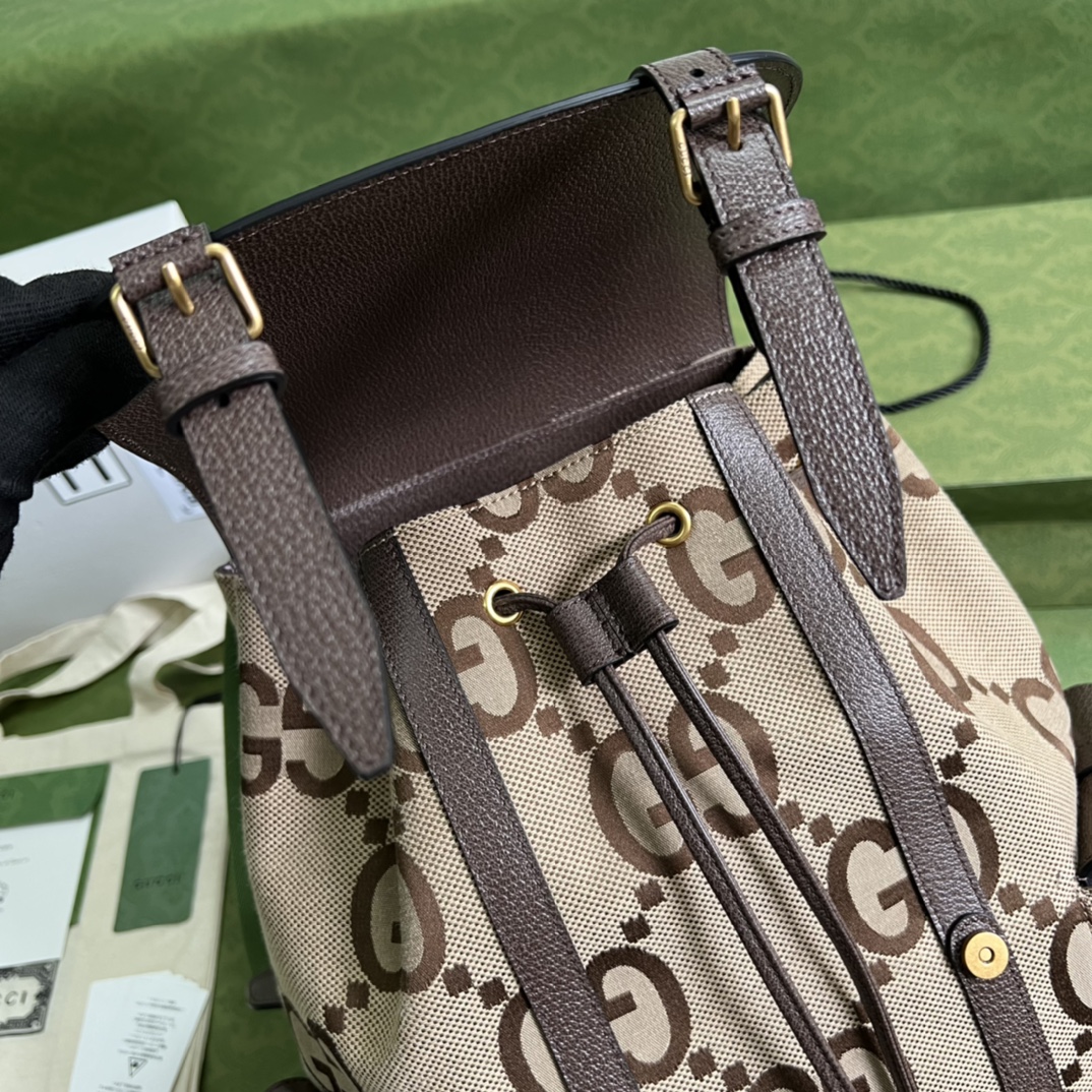 Gucci Backpack - Image 5