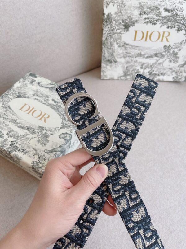 Dior Casual Belt