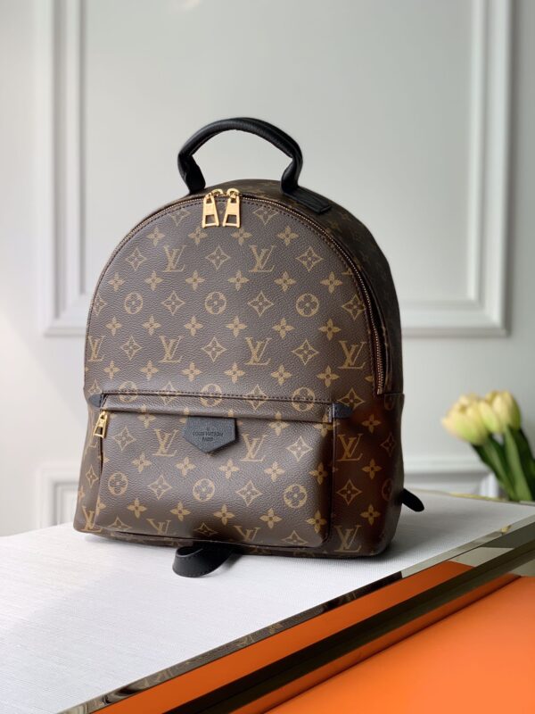 Louis Vuitton Medium Monogram Backpack