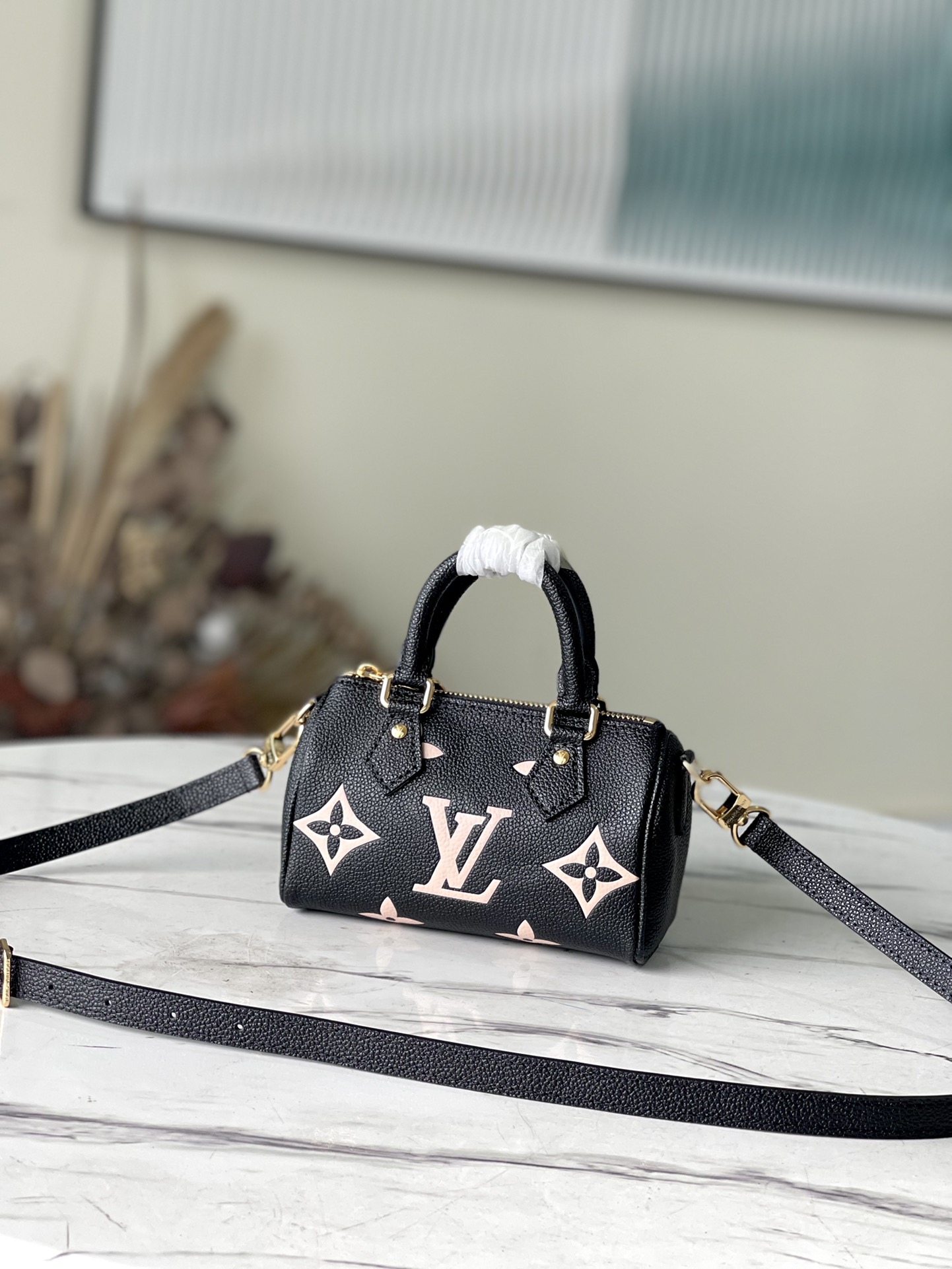 Louis Vuitton Silkscreen Nano Speedy Handbag