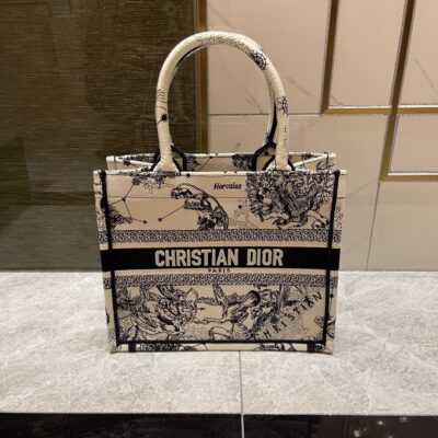 Dior Book Tote Bag