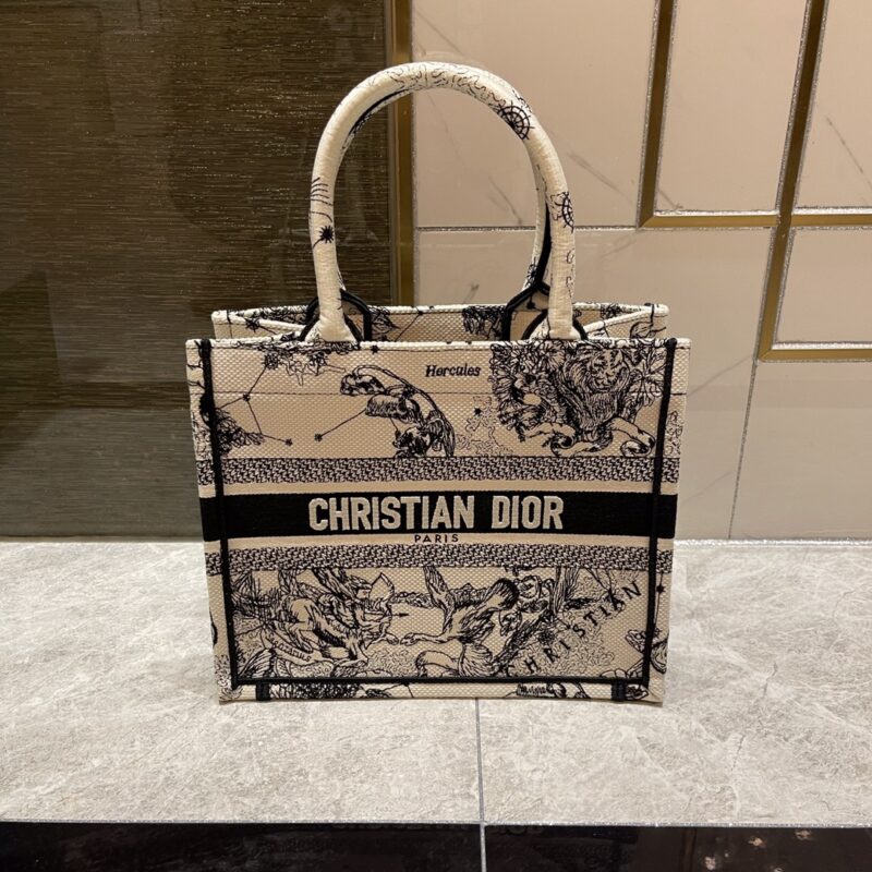 Dior Book Tote Bag