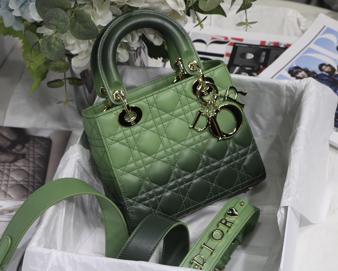 My ABCDior Bag in Gradient Green - Image 3