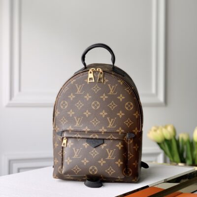 Louis Vuitton Small Monogram Backpack