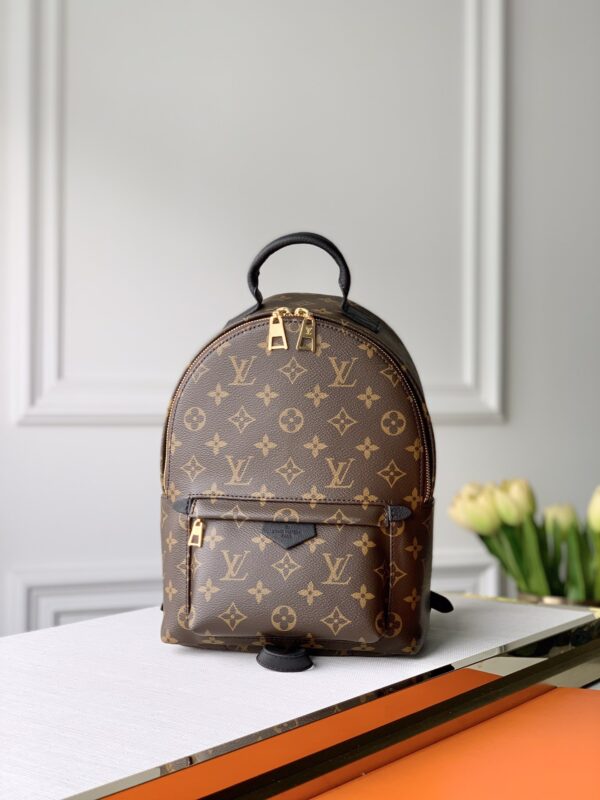 Louis Vuitton Small Monogram Backpack
