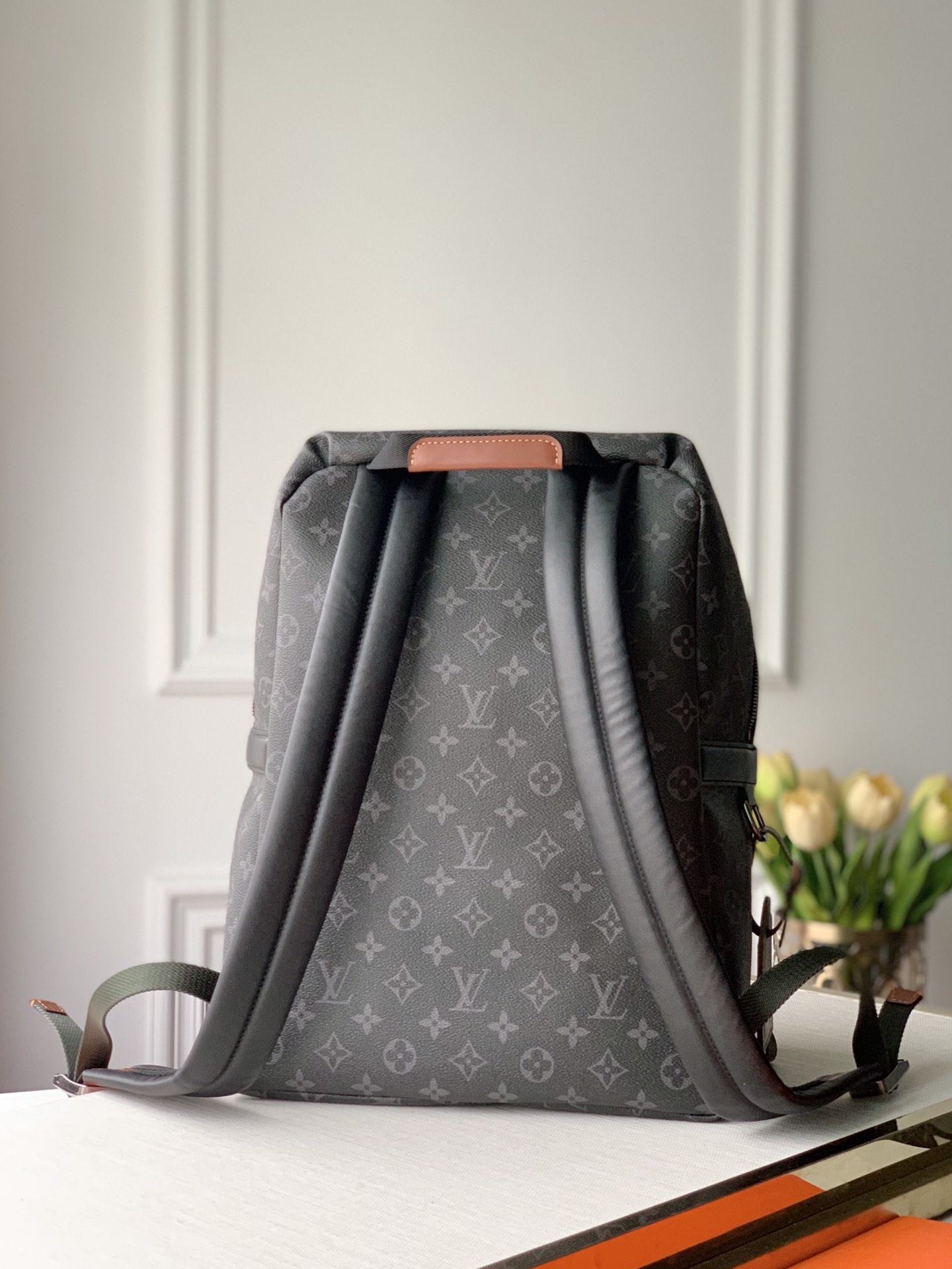 Louis Vuitton Apollo Backpack