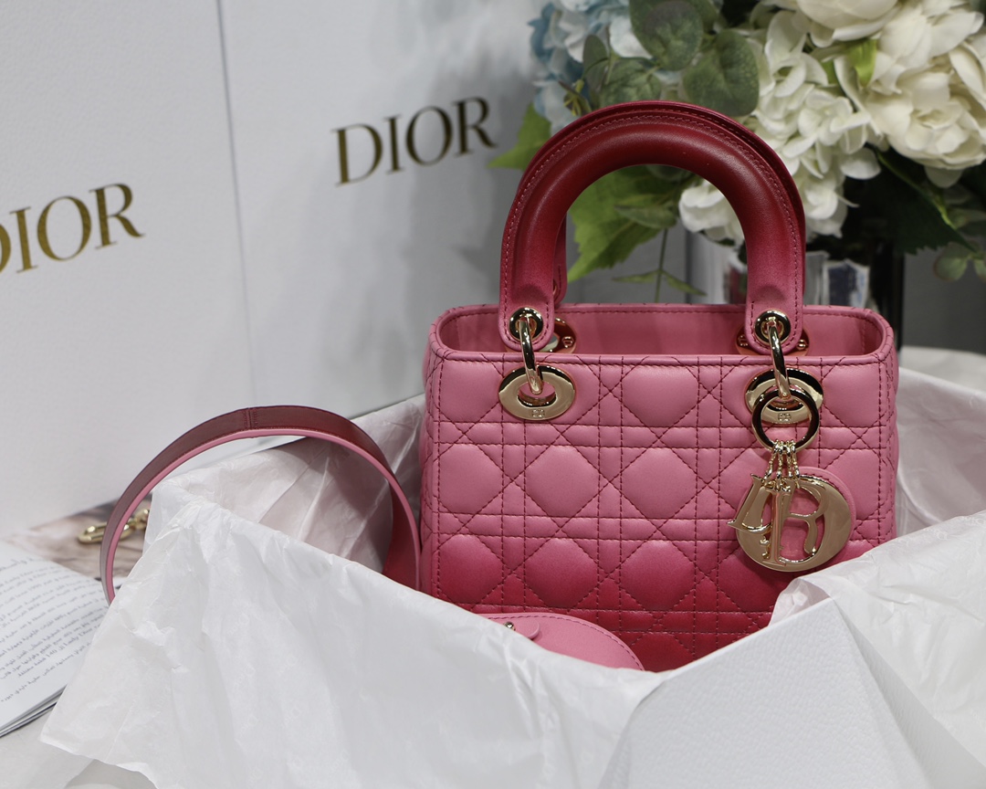 My ABCDior Bag in Gradient Rose Red - Image 6