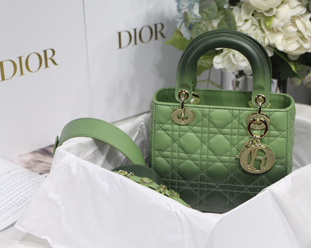 My ABCDior Bag in Gradient Green - Image 6