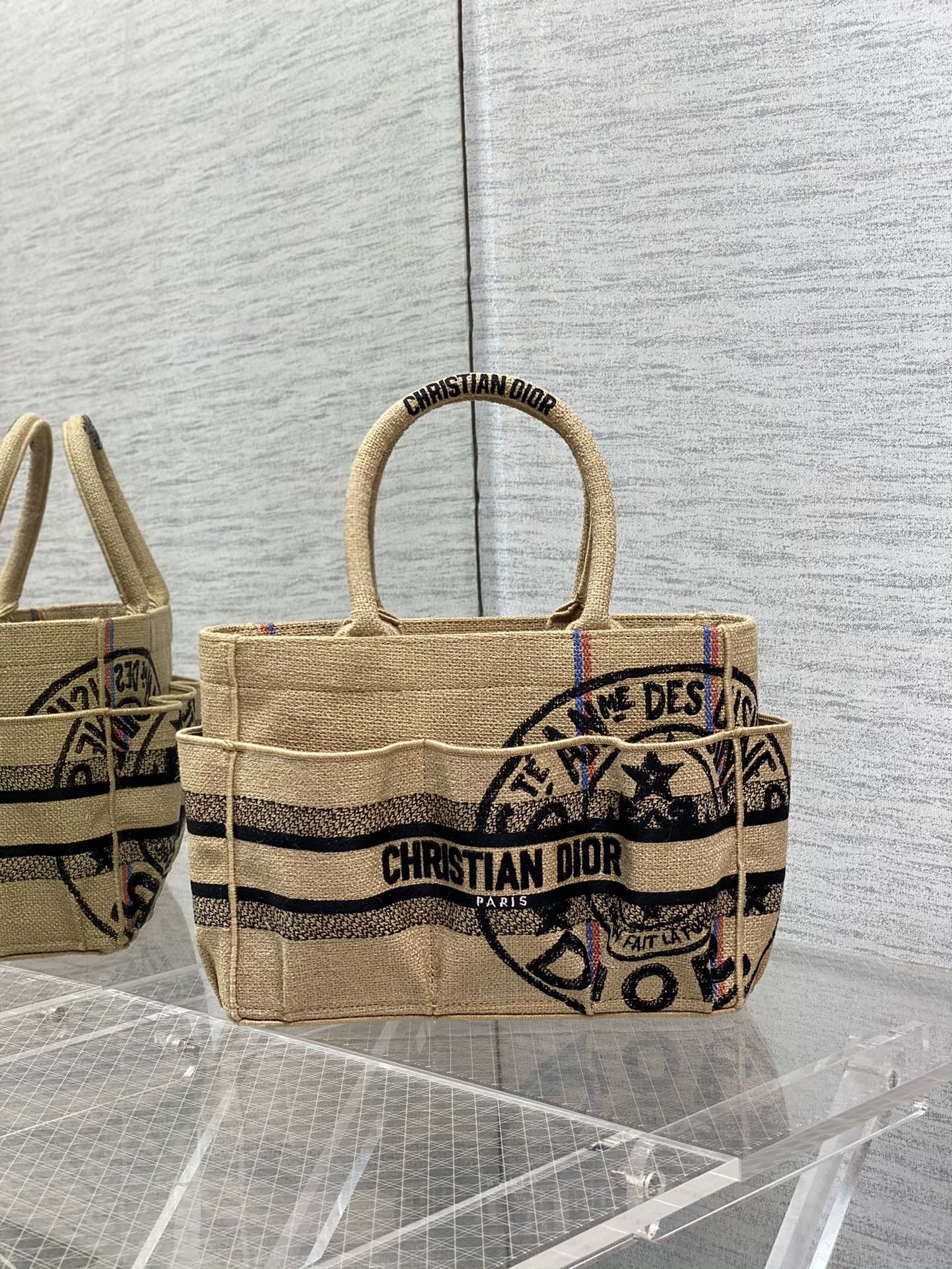 Dior Book Tote Bag