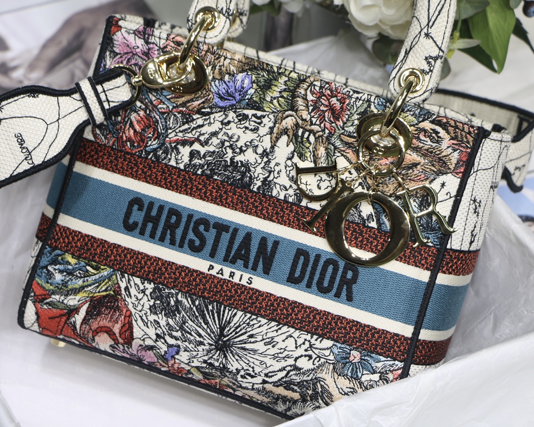 Lady Dior Embroidery Bag in Milk White Constellation - Image 6